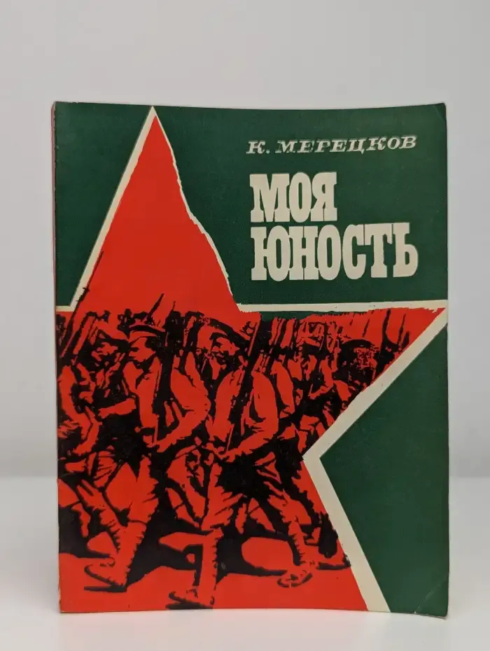 Моя юность