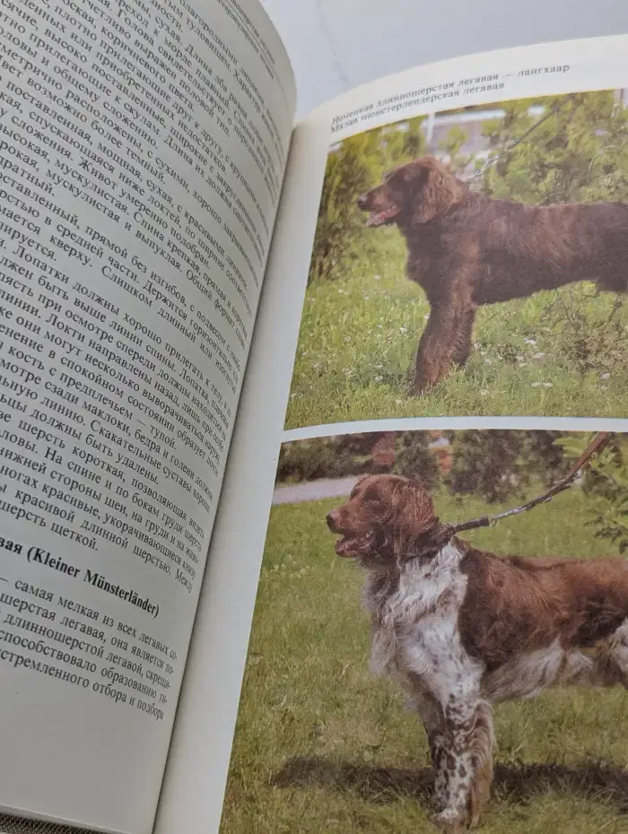 Атлас пород собак