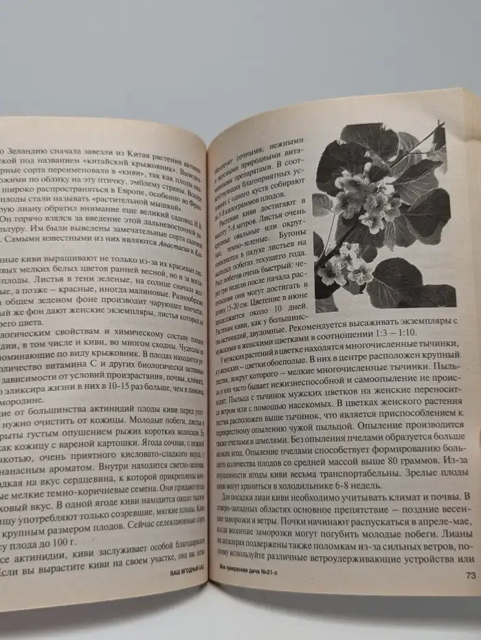 Ваш ягодный сад