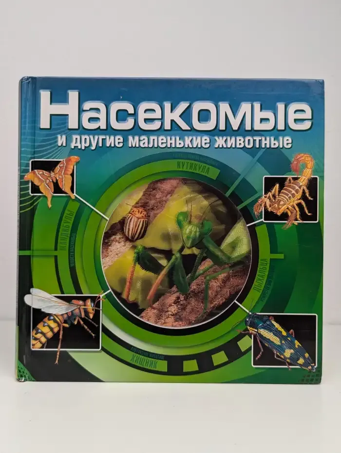 Насекомые и другие маленькие животные