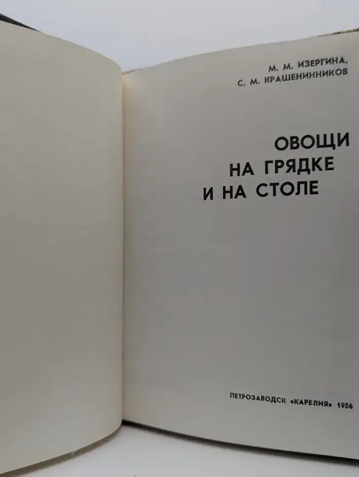 Овощи на грядке и на столе