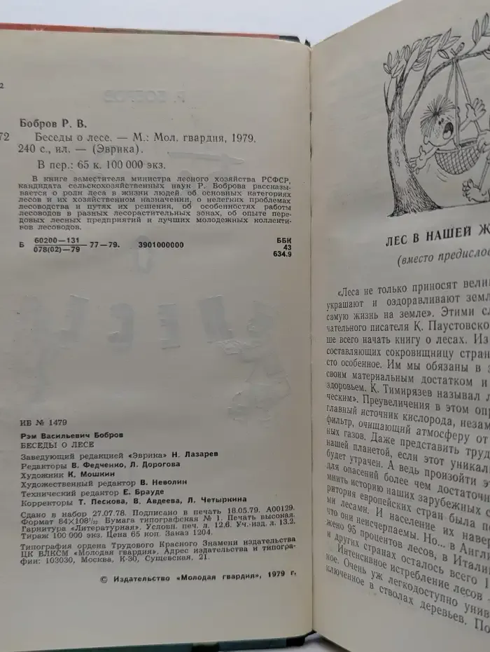 Беседы о лесе