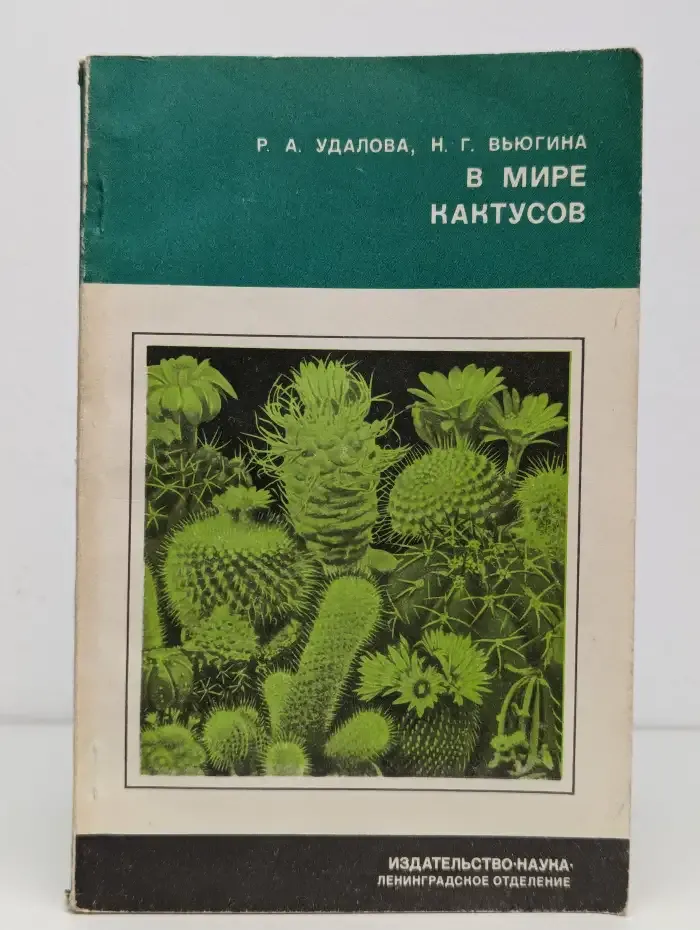 В мире кактусов