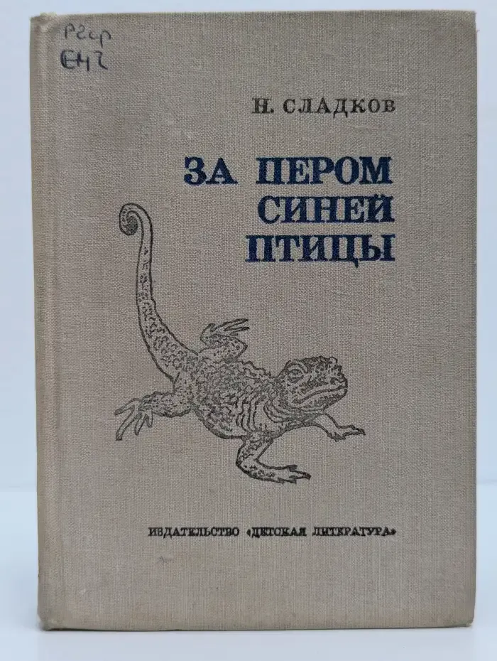 За пером синей птицы