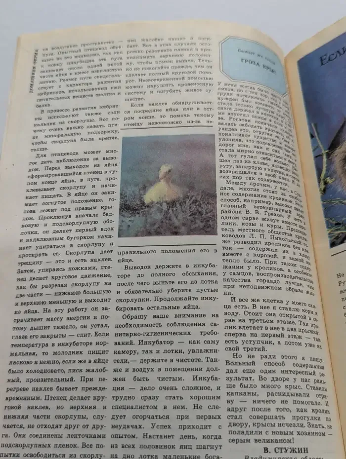 Приусадебное хозяйство. Выпуск №1, 1987