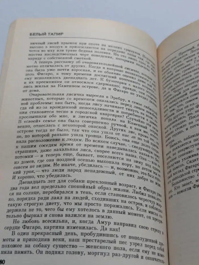Белый тапир и другие ручные животные