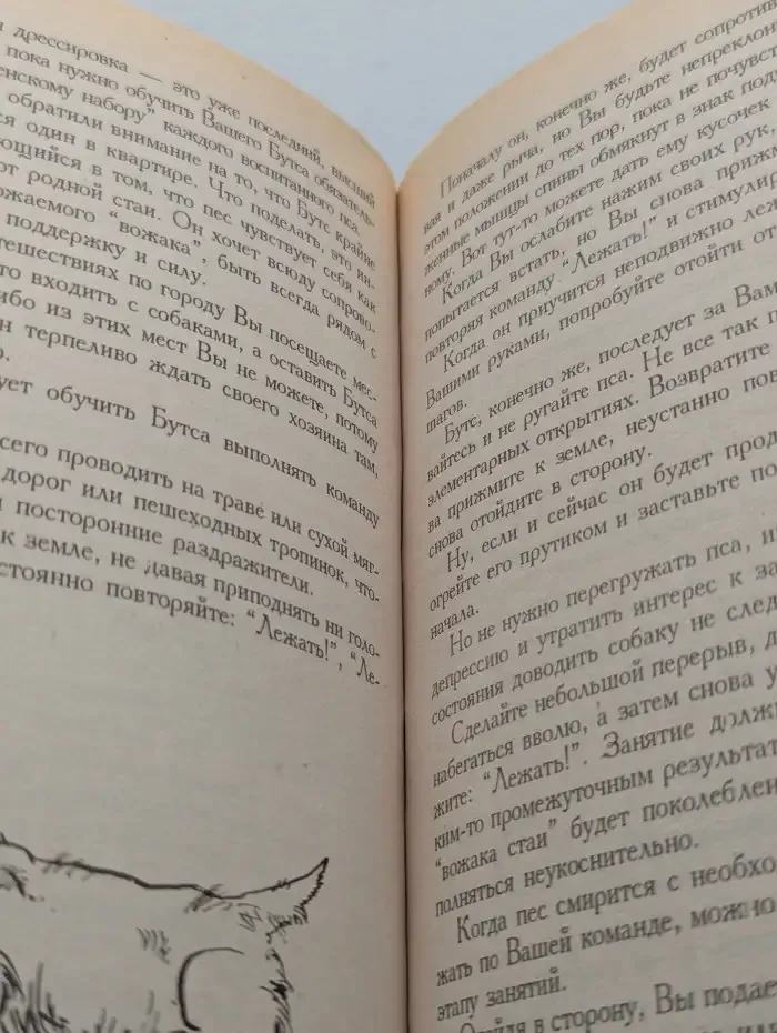 Собаки. Очевидное и невероятное