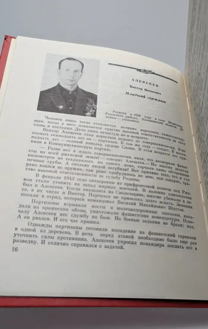Солдатская слава. Книга 6