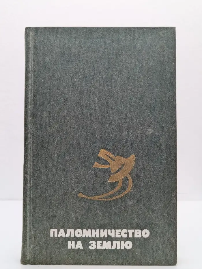 Паломничество на Землю