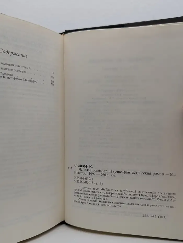 Чародей поневоле