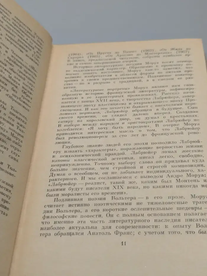 Литературные портреты