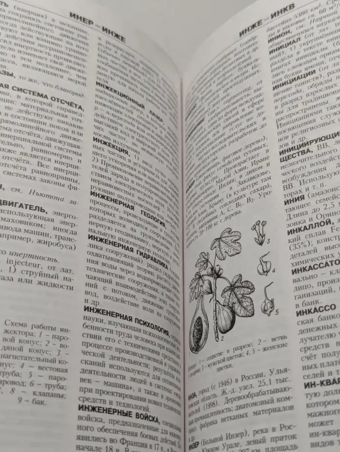 Новая иллюстрированная энциклопедия. В 20 томах. Том 7. Жа - Ит