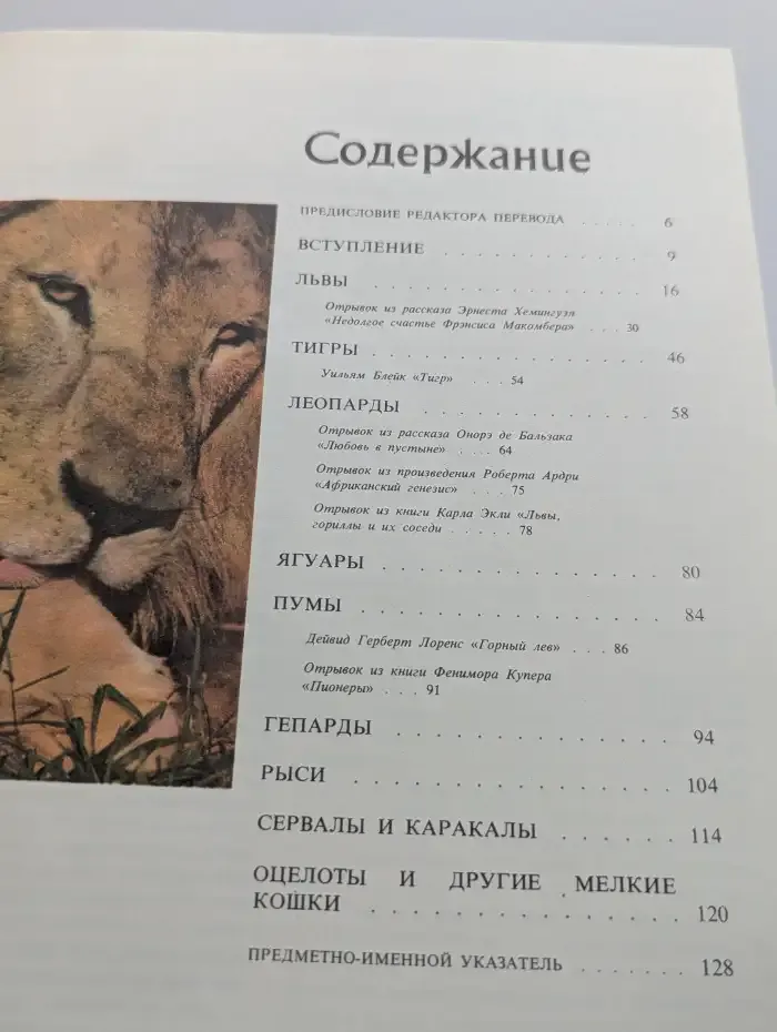 Дикие кошки