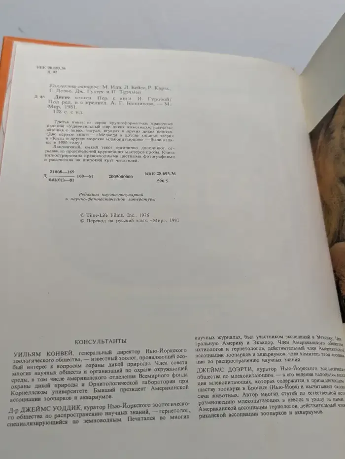 Дикие кошки