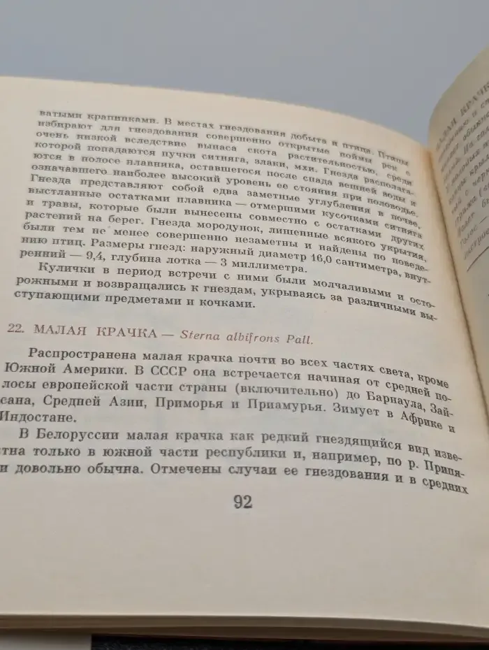 Редкие и исчезающие птицы Белоруссии