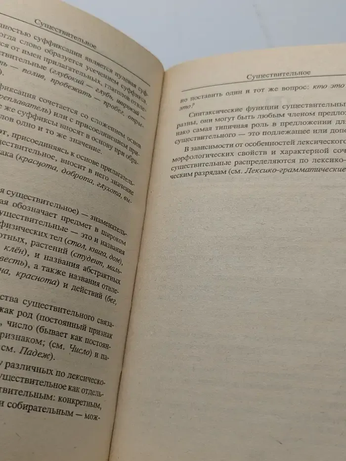 Русский язык. Словарь-справочник