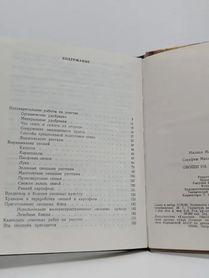 Овощи на грядке и на столе