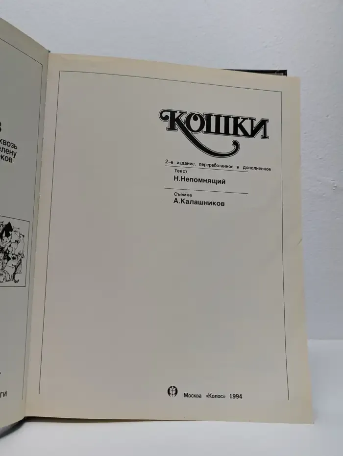 Кошки