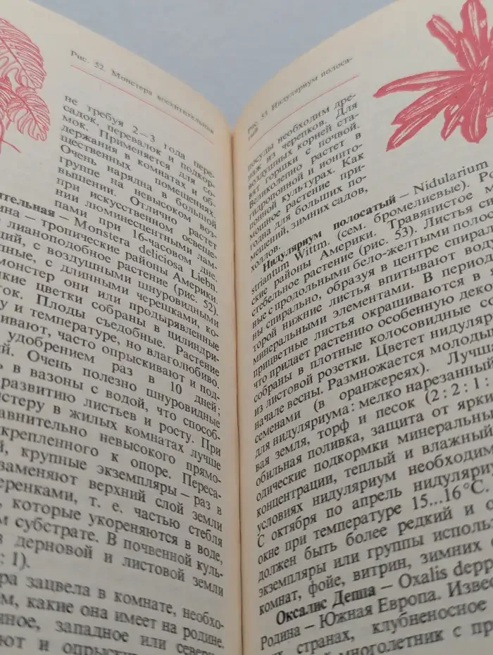 Цветы в комнате и на балконе