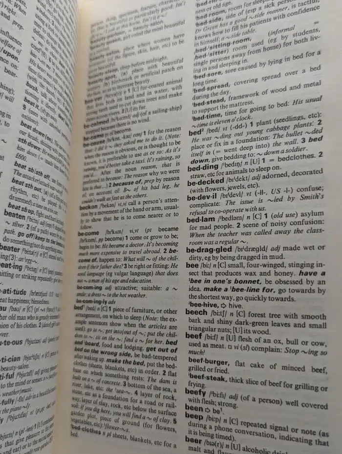 Учебный словарь современного английского языка