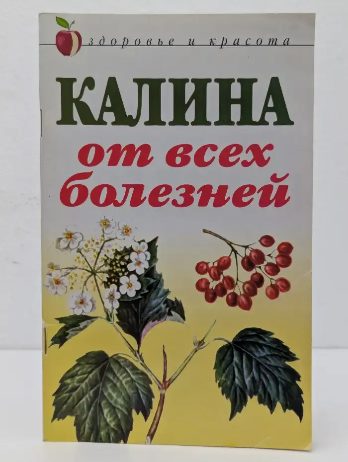 Калина от всех болезней