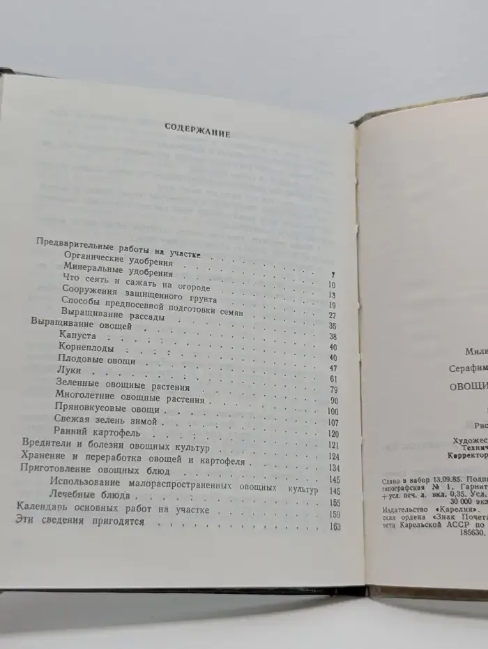 Овощи на грядке и на столе