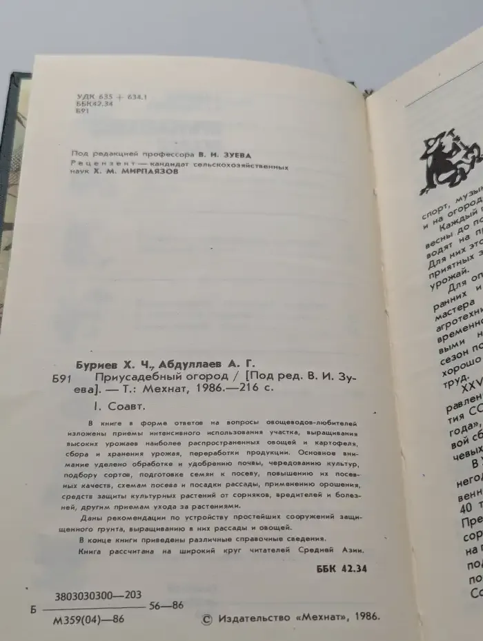 Приусадебный огород