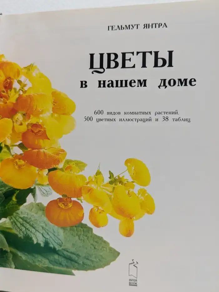 Цветы в нашем доме
