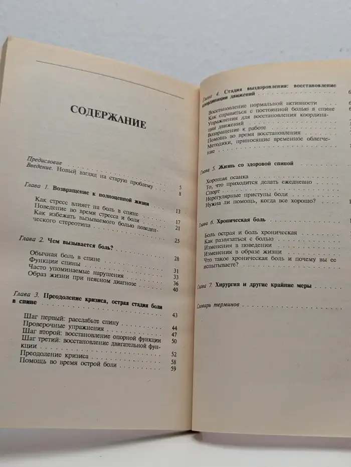 Хроническая боль в спине и пути ее преодоления