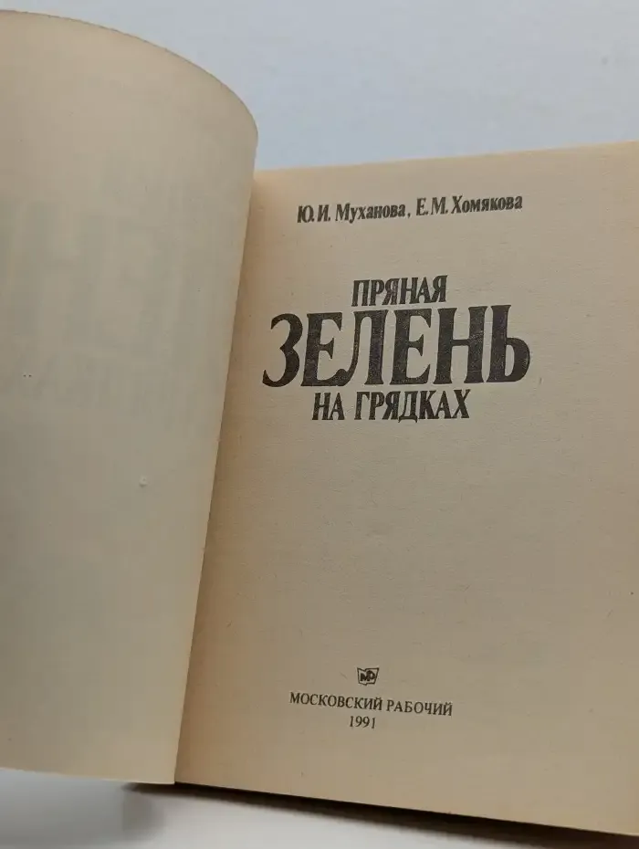 Пряная зелень на грядках