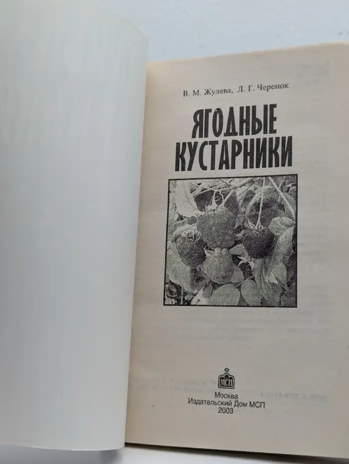 Ягодные кустарники