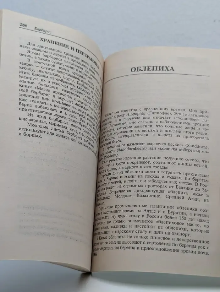 Ягодные кустарники