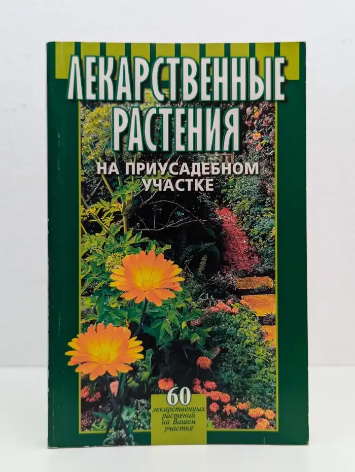 Лекарственные растения на приусадебном участке