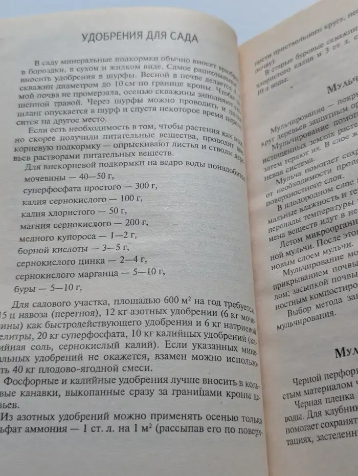 Сад нового типа. Практическое пособие
