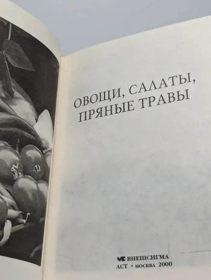 Сад и огород. Овощи. Салаты. Пряные травы