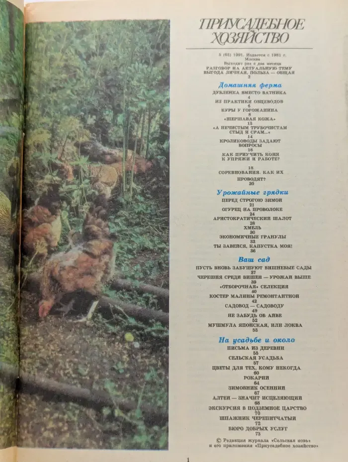 Приусадебное хозяйство №5. 1991