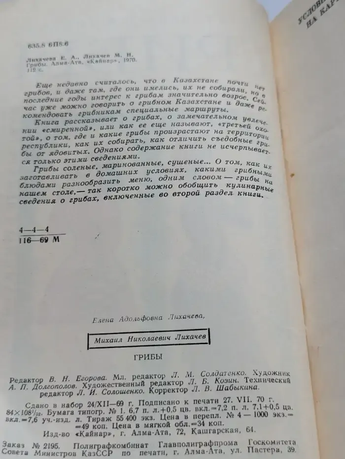 Грибы