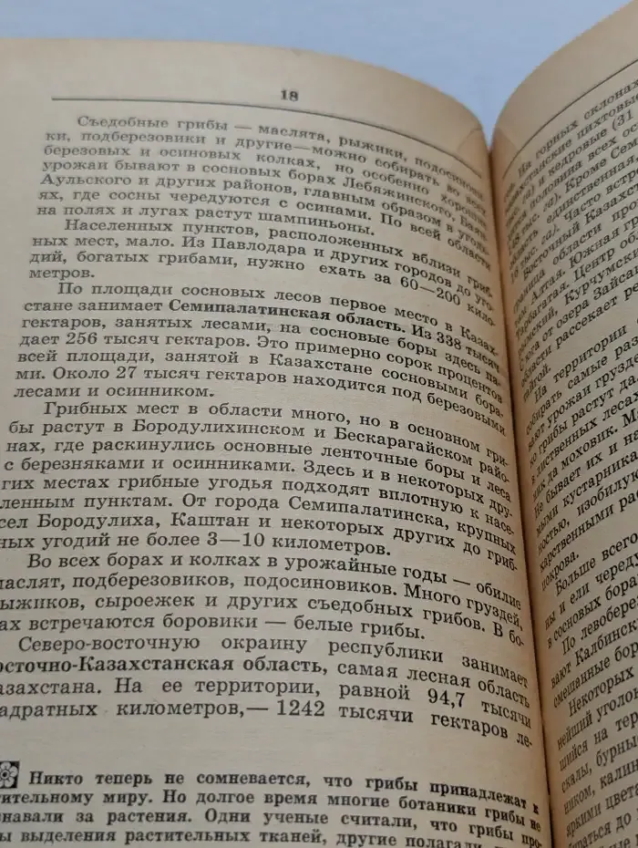 Грибы