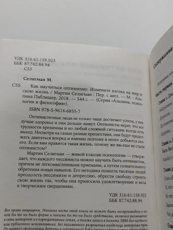Как научиться оптимизму. Измените взгляд на мир и свою жизнь