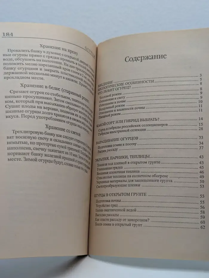 Огурцы