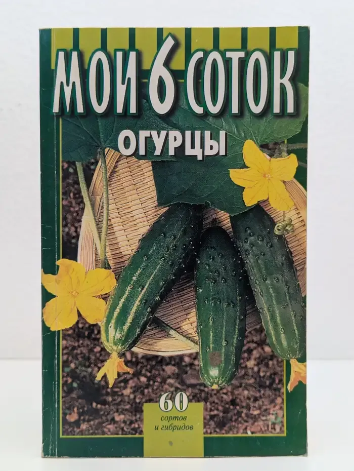 Огурцы