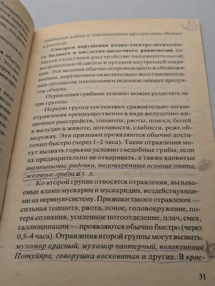 Грибы российских лесов
