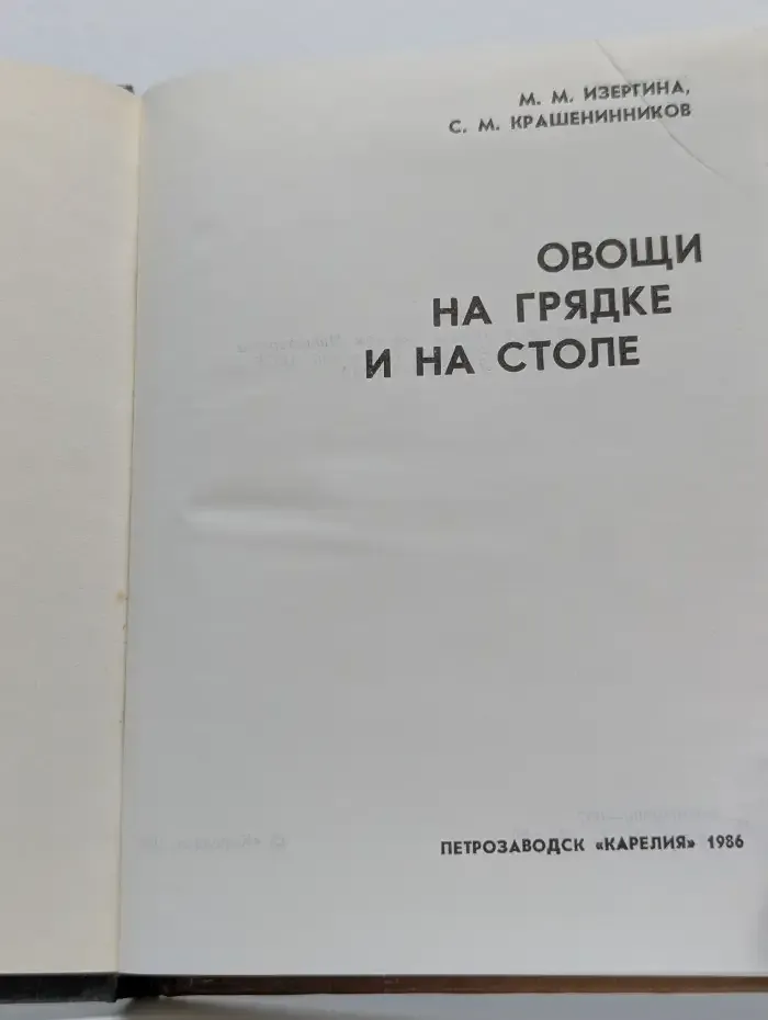 Овощи на грядке и на столе