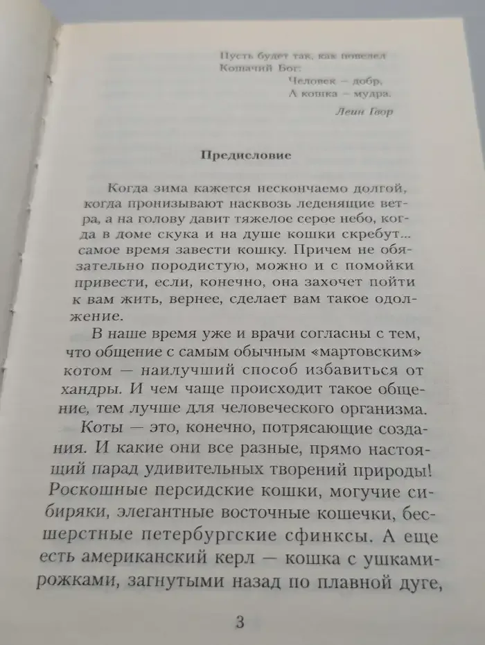 Кошка-целитель
