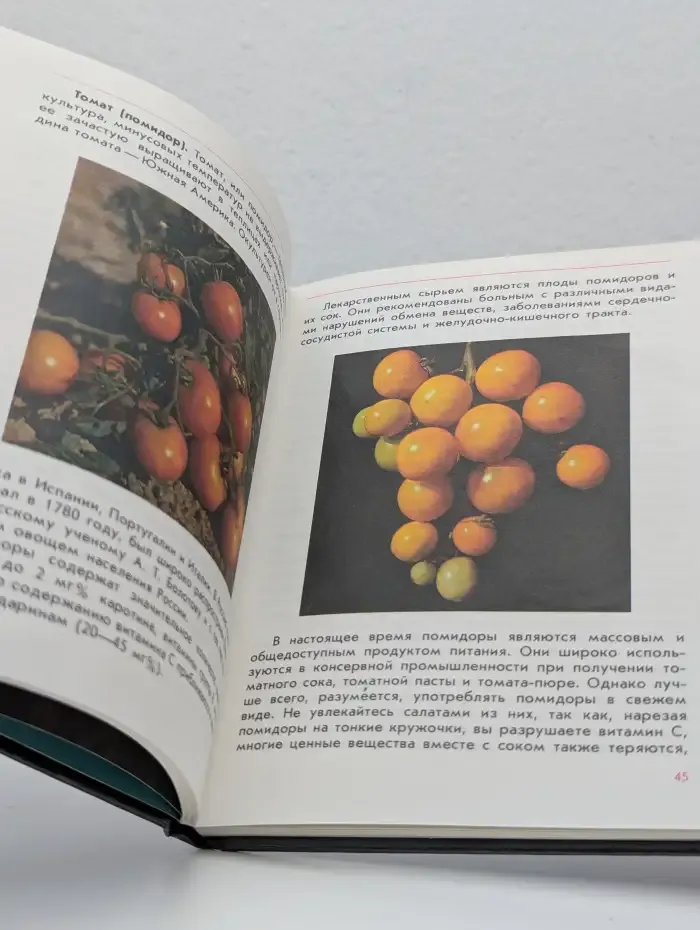 Растения на вашем столе