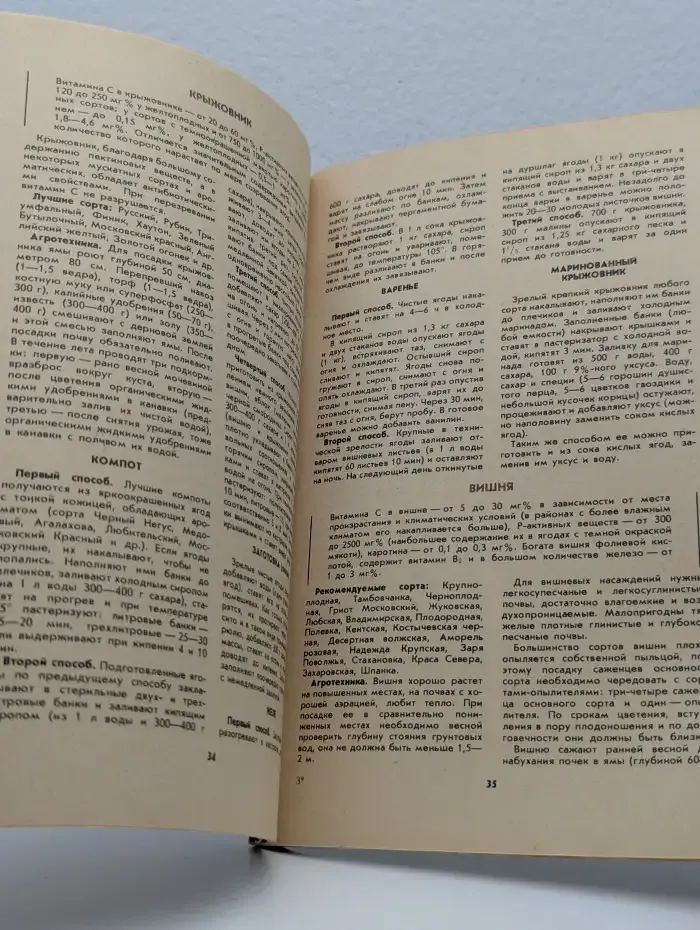 Витамины круглый год