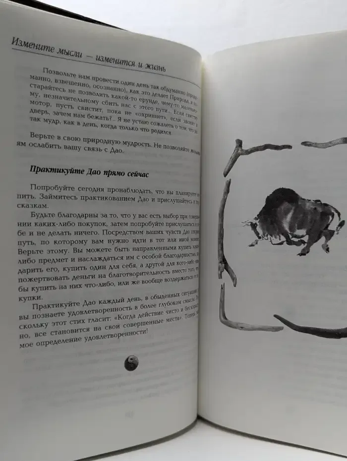 Измените мысли - изменится и жизнь. Следуя мудрости ДАО