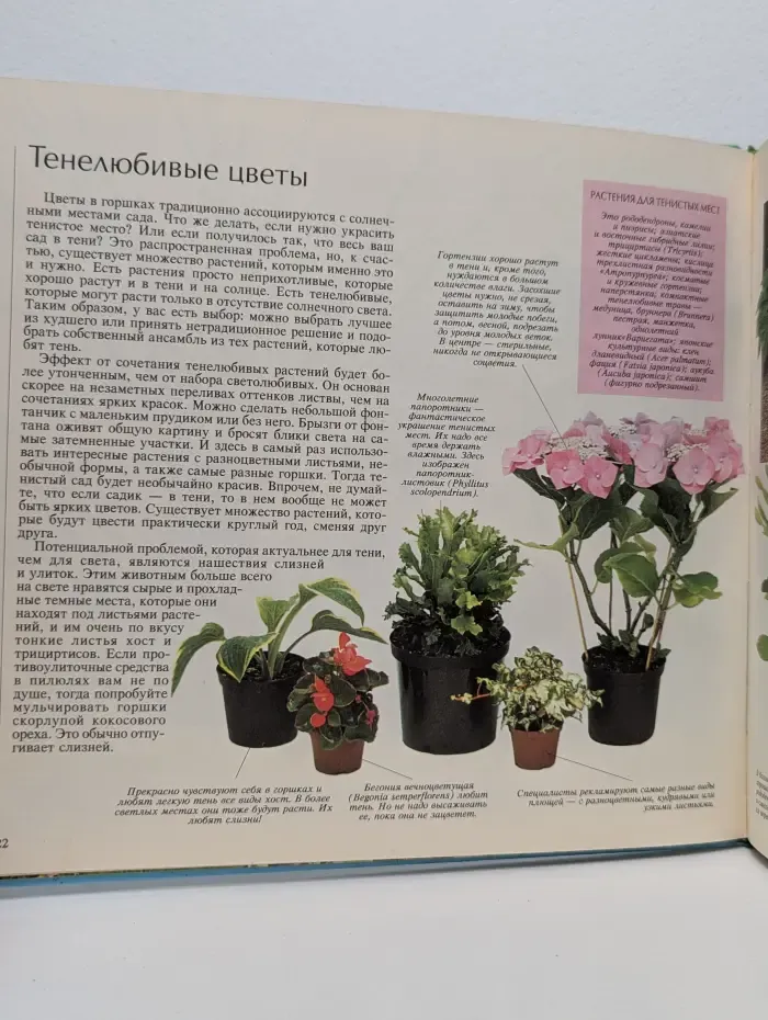 Выращивание растений в цветочных горшках