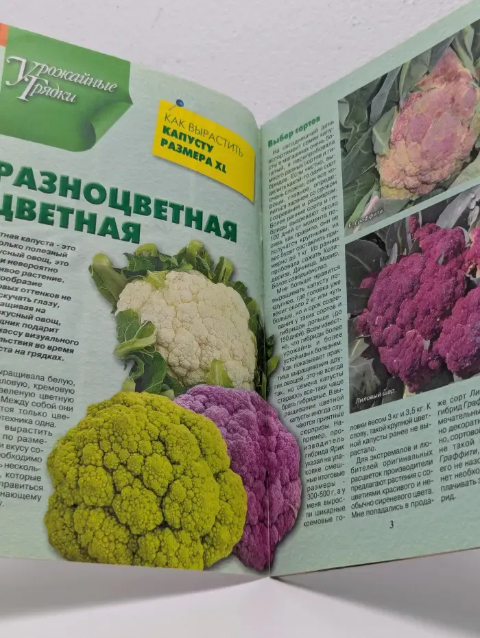 Приусадебное хозяйство. Выпуск № 7/2020