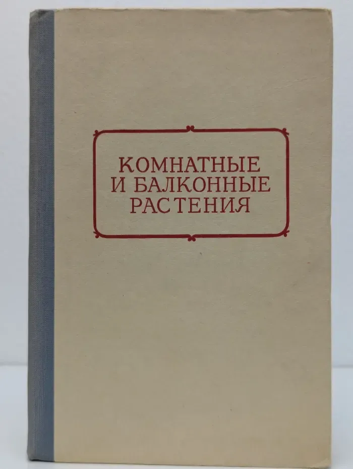 Комнатные и балконные растения